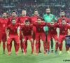 La Turquie a son maillot pout l'Euro