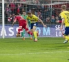 Waasland-Beveren chute dans le Nord
