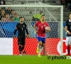 Aleksandar Mitrovic buteur avec la Serbie (vidéo)