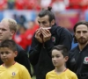 Euro 2016: Gareth Bale fracture le nez d'un supporter