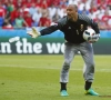 Kiraly vu par Bart Goor