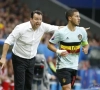 Marc Wilmots : "Je me suis demandé si j'allais faire l'Euro"