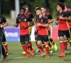 Les Diables pourraient affronter la Chine en match amical