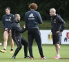 Roberto Martinez pense-t-il à rappeler Fellaini? "Je devrais peut-être aussi penser à Jan Ceulemans"