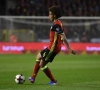 Axel Witsel optimiste concernant la prochaine Coupe du Monde: "Notre cohésion fera la différence"