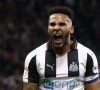 Newcastle laisse filer Brighton