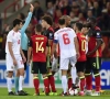 La rouge de Witsel ? "Dommage en vue de la Grèce"