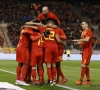 "Non, il n'y pas de polémique chez les Diables"