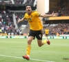 Officiel : Wolverhampton signe un attaquant pour les prochaines saisons