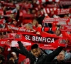 Des supporters de Benfica se trompent d'itinéraire et se rendent dans la mauvaise ville