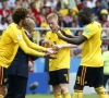 "Fellaini prêt à revenir chez les Diables? Je sauterais sur l'occasion" 