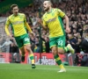 Mais qui est Teemu Pukki, l'étonnant joueur du mois en Premier League?