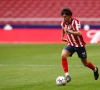 Joao Felix connaît la sanction pour son pétage de câble