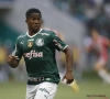  La pépite Endrick devient le plus jeune buteur de l'histoire du Championnat brésilien