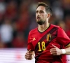 Quatre mois après, Adnan Januzaj est à nouveau un joueur de foot