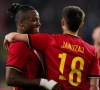 Adnan Januzaj et Michy Batshuayi vont se disputer un trophée 