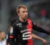 Christian Bruls s'illustre avec Rennes
