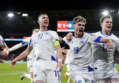 "Si l'Italie a peur d'affronter le Pays de Galles, c'est qu'il y a un problème" : Dzeko surpris de l'Italie