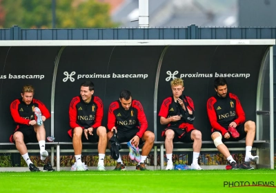 Quel temps de jeu pour les Diables brugeois à la Coupe du monde ? "Rudi Garcia a déjà son idée en tête"