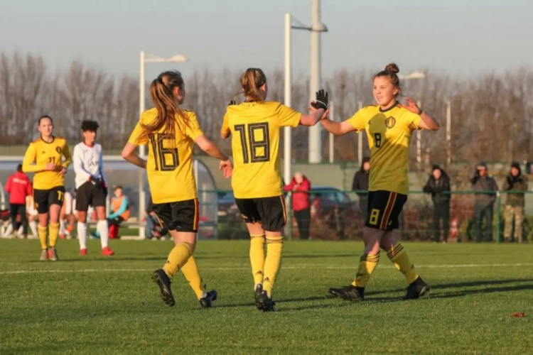 Cette fois, les U19 n'ont pas su dompter la Turquie