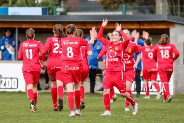 Officiel : un renfort d'expérience pour Kontich