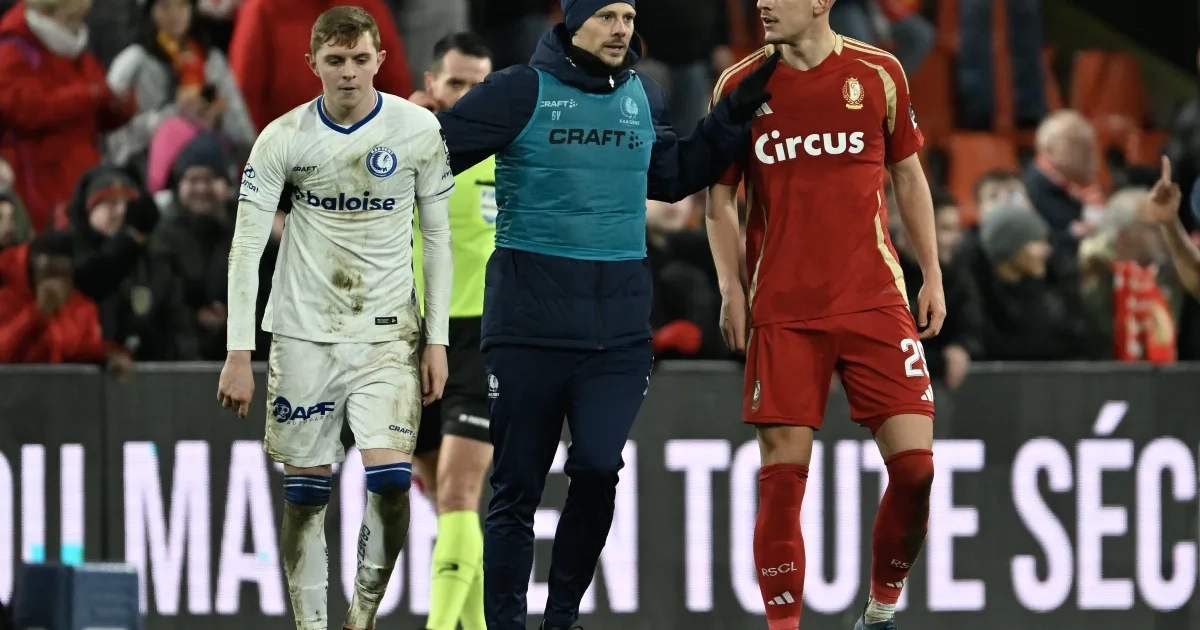 Son tempérament collerait parfaitement au Standard : 